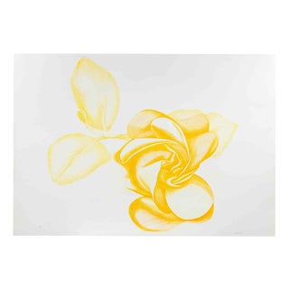 Giacomo Porzano, Yellow Rose, 1972, Etching For Sale