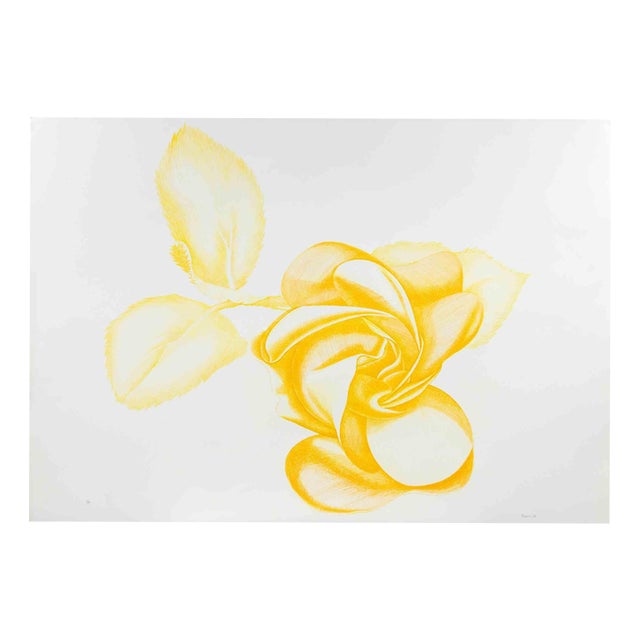 Giacomo Porzano, Yellow Rose, 1972, Etching For Sale