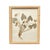 Framed Herbarium Collection of Botanical Specimens From 1897, Set of 12 For Sale - Image 12 of 18