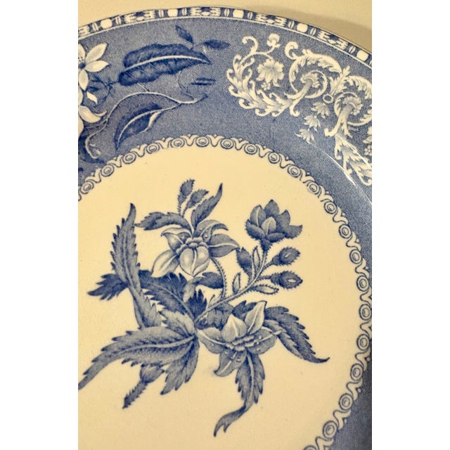 Ceramic Early 20th Century Spode Blue Camila Salad Plate For Sale - Image 7 of 8