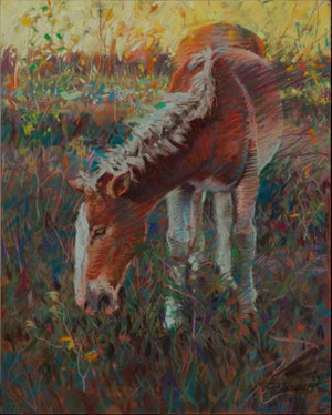 Horseface by Jeff Slemons | Soft Pastel on Sanded Paper of a horse grazing in a field.