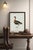 Not Yet Made - Made To Order William Lewin 1789 Waterbirds Fine Art Gallery Board Print - The Red Breasted Goose For Sale - Image 5 of 11
