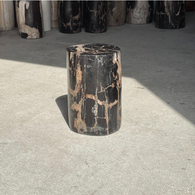 Small Side Table in Black Petrified Wood with Beige Striations, 1980s For Sale - Image 14 of 18