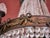 Large Antique Louis XVI Pear Chandelier For Sale - Image 11 of 15