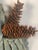 Rustic 1960s Rustic Chalet Decor - Huge Pine Cones in Twig Basket For Sale - Image 3 of 8