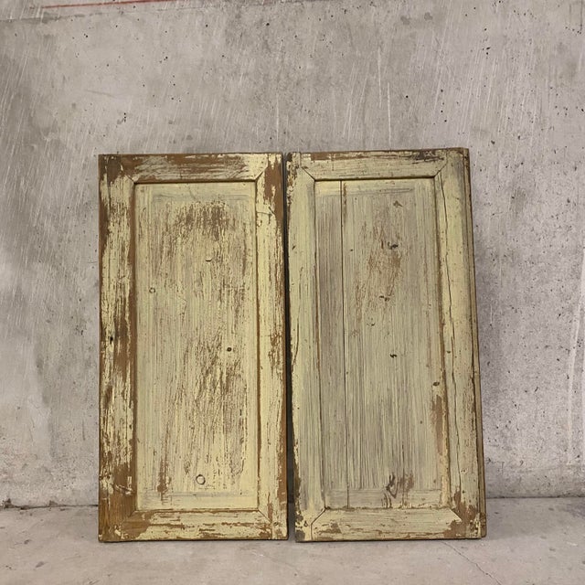 Small Patinated Double Door, 1890s For Sale - Image 5 of 6
