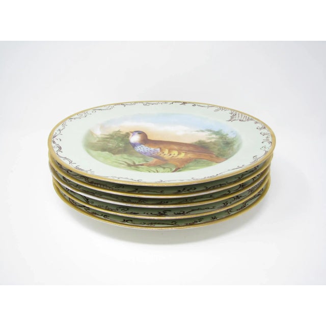 French Antique Jean Pouyat Jpl Limoges France Hand-Painted Plates With Game Birds - Set of 5 For Sale - Image 3 of 13
