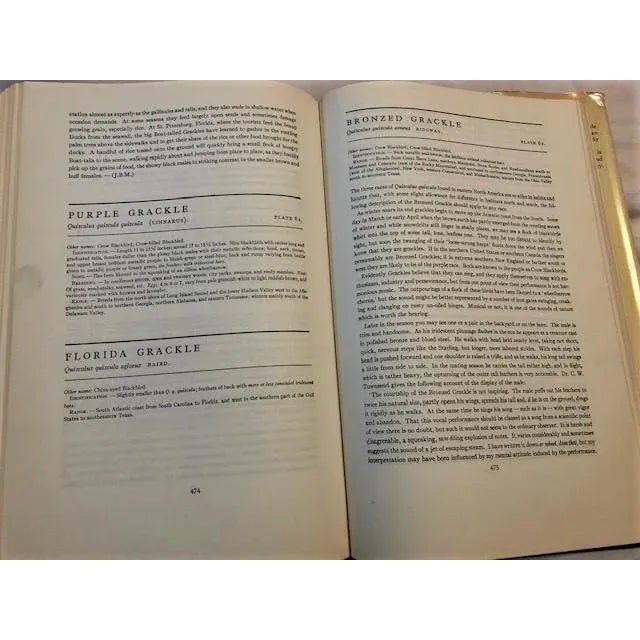 Green Natural History of American Birds of Eastern & Central America Book For Sale - Image 8 of 11