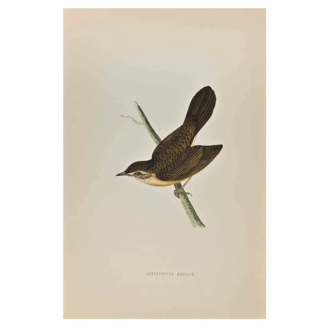 Alexander Francis Lydon, Grasshopper Warbler, Woodcut Print, 1870 For Sale