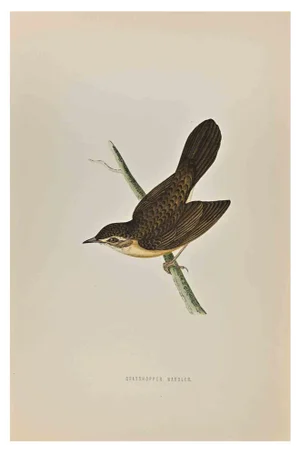 Alexander Francis Lydon, Grasshopper Warbler, Woodcut Print, 1870