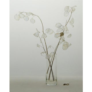 Study in Stillness - Watercolor For Sale