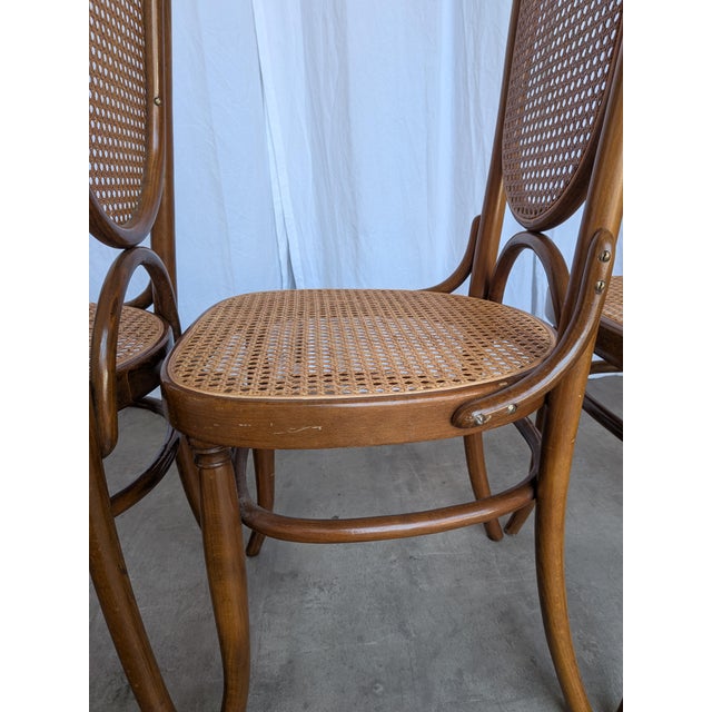 Wood Mid-Century Bentwood Cane Dining Chair, Yugoslavia, 1970s, Set of 6 For Sale - Image 7 of 18