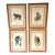 Set of 4 Hand-Colored French Primate Engravings by Jean-Baptiste Audebert For Sale