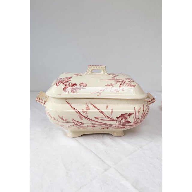 Antique English Tureen with Plate Francis & Co Primrose C., 1860 For Sale - Image 10 of 13