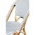 Leroy Rattan-Frame Armless Side Chair Set of 2 by Furniture Classics For Sale In Washington DC - Image 6 of 6