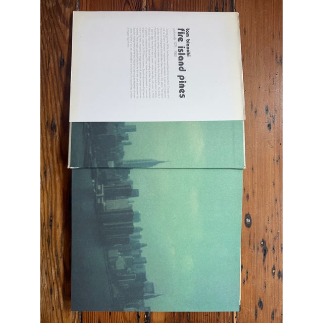 Pop Art Tom Bianchi Fire Island Pines Book For Sale - Image 3 of 6