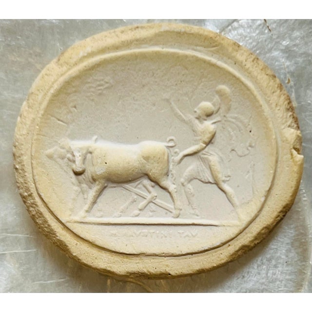 Grand Tour Neoclassical Plaster Intaglio Collection in Shadow Box Frame, Classical Medallions Wall Art For Sale - Image 12 of 12