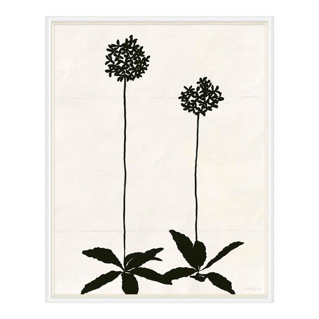 Allium (var. 2) by Susan Hable, White Frame For Sale