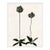 Allium (var. 2) by Susan Hable, White Frame For Sale