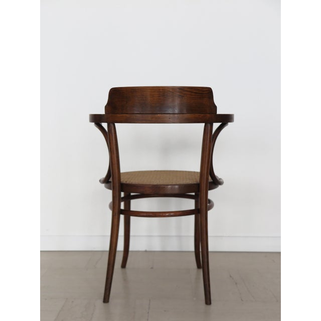 Vintage Chairs by Michael Thonet for Thonet, 1930s, Set of 6 For Sale - Image 10 of 18