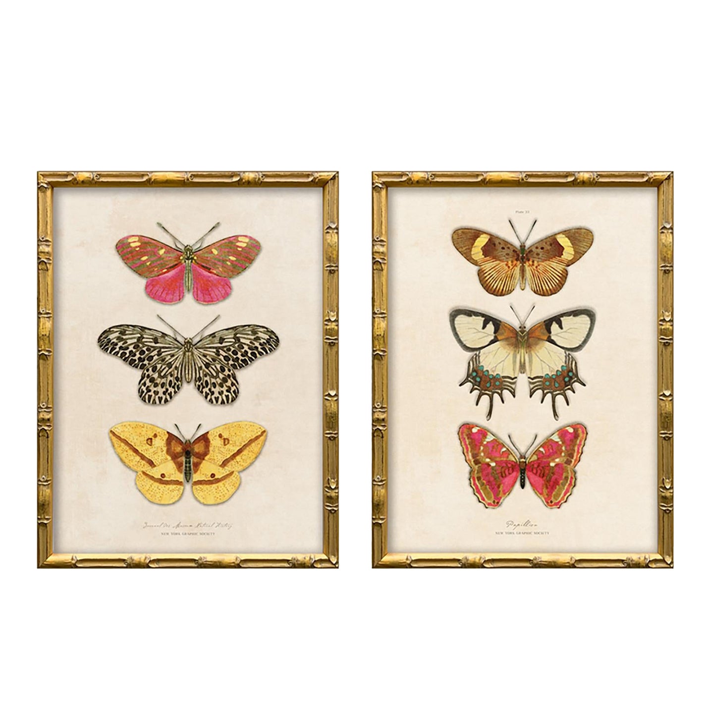 Reproduction Vintage Butterfly Art Print Set (Set of 2), Framed | Chairish