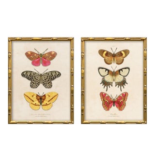 Reproduction Vintage Butterfly Art Print Set (Set of 2), Framed For Sale
