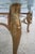 Bronze Base Glass Top Designer Coffee Table For Sale - Image 10 of 12