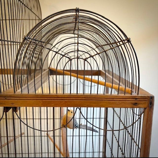 Rare 1830’s French Victorian “Palace” Birdcage For Sale - Image 4 of 9