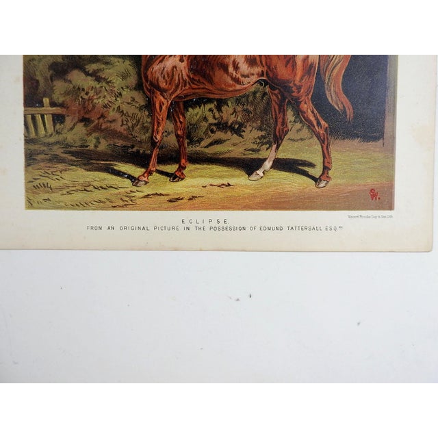Late 19th century chromolithgraph of the British racehorse Eclipse. From The Book of the Horse by S. Sidney, Published...