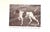 "How to Train Your Dog" 1940 Lytle, Horace For Sale In New York - Image 6 of 7