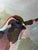 Figurative Gorilla Engineer, Coal Fire & Hummingbirds Unstretched Canvas Joni Wildman Oil Painting For Sale - Image 3 of 13
