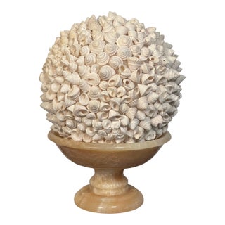 1960s Sea Shells Globe on Italian Onyx Tazza For Sale