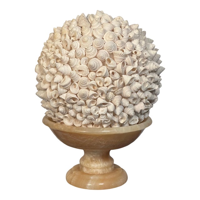1960s Sea Shells Globe on Italian Onyx Tazza For Sale