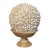 1960s Sea Shells Globe on Italian Onyx Tazza For Sale