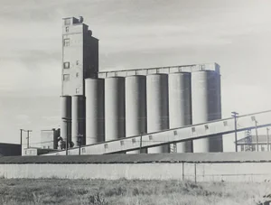 1950's Photograph of Grain Silos