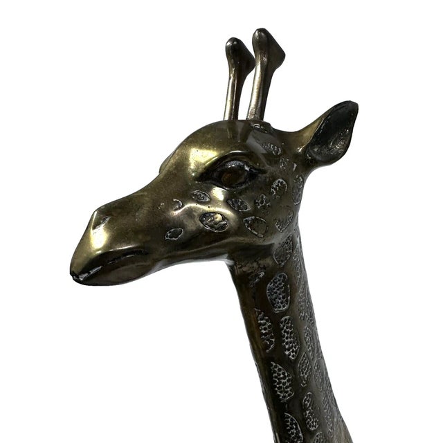 1980s Hollywood Regency Large Brass Giraffe Sculptures - A Pair For Sale - Image 9 of 11