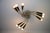 Mid-century brass sputnik chandelier, germany, 1950s. This striking vintage ceiling light features a dynamic sculptural...