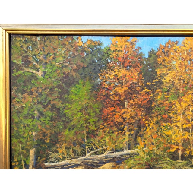 Jerry Greenberg "Arkansas River Ozarks" Contemporary Realistic Forested Landscape Painting, 1995 For Sale In Houston - Image 6 of 12