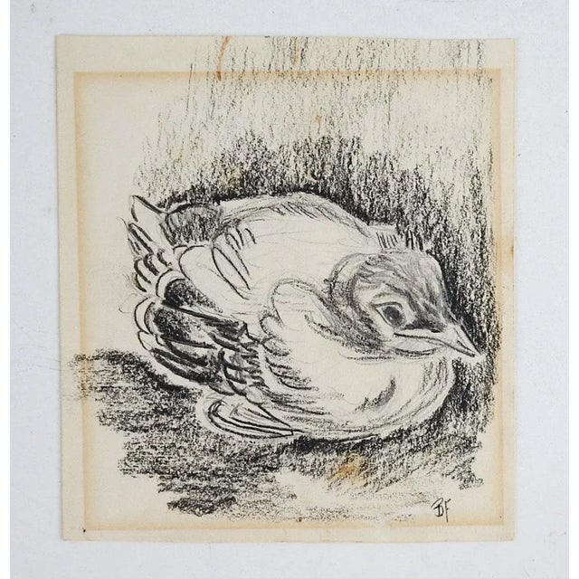 Rustic European Small Vintage Baby Bird Charcoal Drawing For Sale - Image 3 of 4