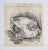 Rustic European Small Vintage Baby Bird Charcoal Drawing For Sale - Image 3 of 4