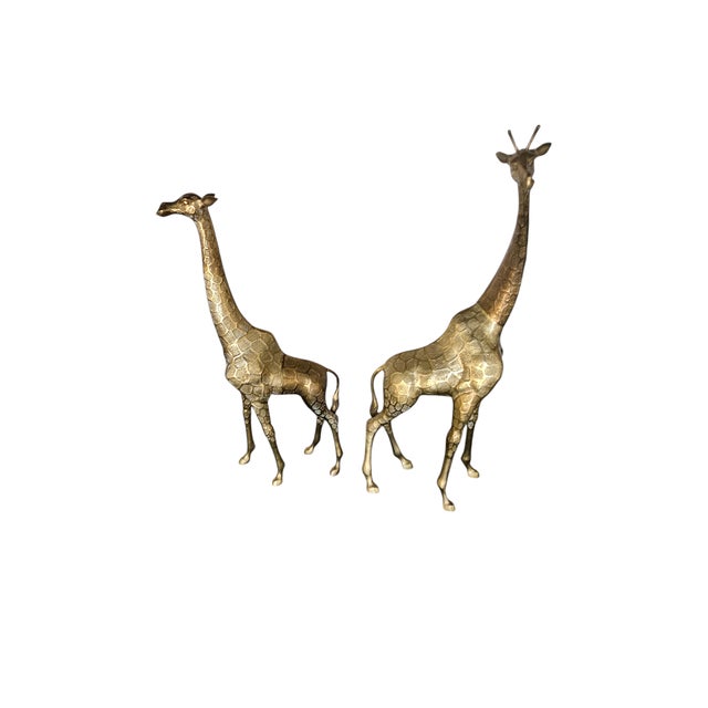 Pair of 1970's Life Size Brass Baby Giraffea sold as found in very good vintage condition previously owned and displayed...