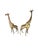 Pair of 1970's Life Size Brass Baby Giraffea sold as found in very good vintage condition previously owned and displayed...