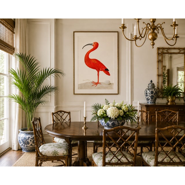 Scarlet Ibis With an Egg, Vintage Art Print Reproduction, 32" X 48" For Sale - Image 10 of 12