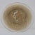 Rene Lalique Glass 'Une Figurine Et Fleurs' Plate For Sale - Image 9 of 9