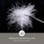 Not Yet Made - Made To Order Premium Medium White Duck Down Pillow with TENCELTM Lyocell Organic Cotton Shell, King For Sale - Image 5 of 6