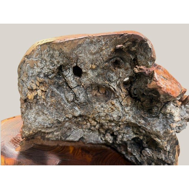 Striking vintage natural burl/root wood abstract sculpture mounted on a substantial live-edge wood slab base. This one-of-...