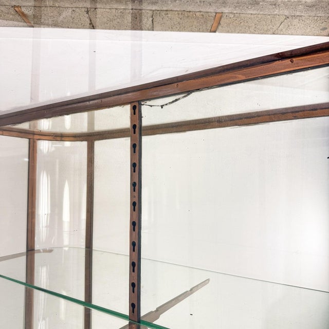 Large Antique Metal Museum Display Cabinet with Curved Glass, 1890s For Sale - Image 3 of 18