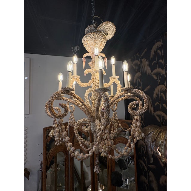 Vintage Coastal Shell Seashell Encrusted Coastal Palm Beach 12 Light Chandelier For Sale In West Palm - Image 6 of 12