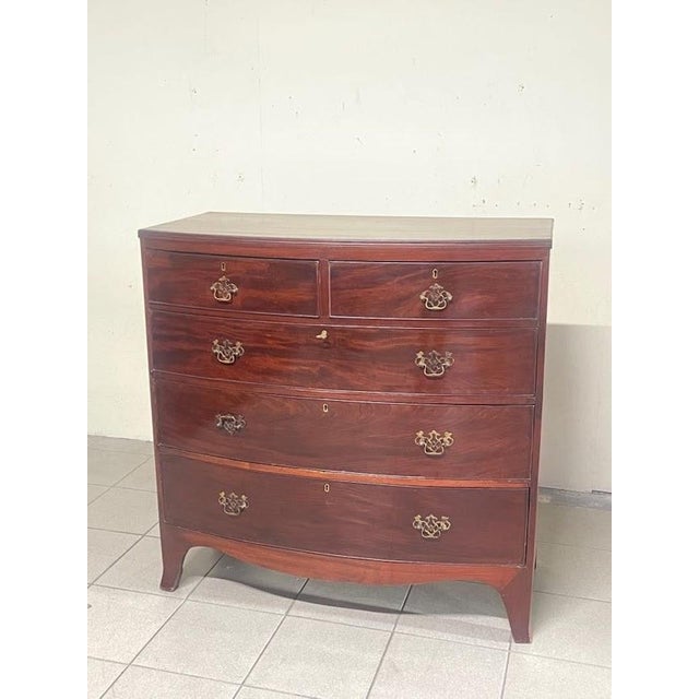 Brown Regency-Style Chest of Drawers, Italy, 1950s For Sale - Image 8 of 15