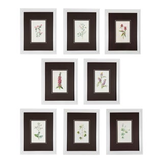 Antique Botanical Print Gallery | Set of 8 F. Edward Hulme Chromolithographs, Framed For Sale